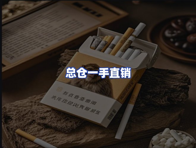 专业团队